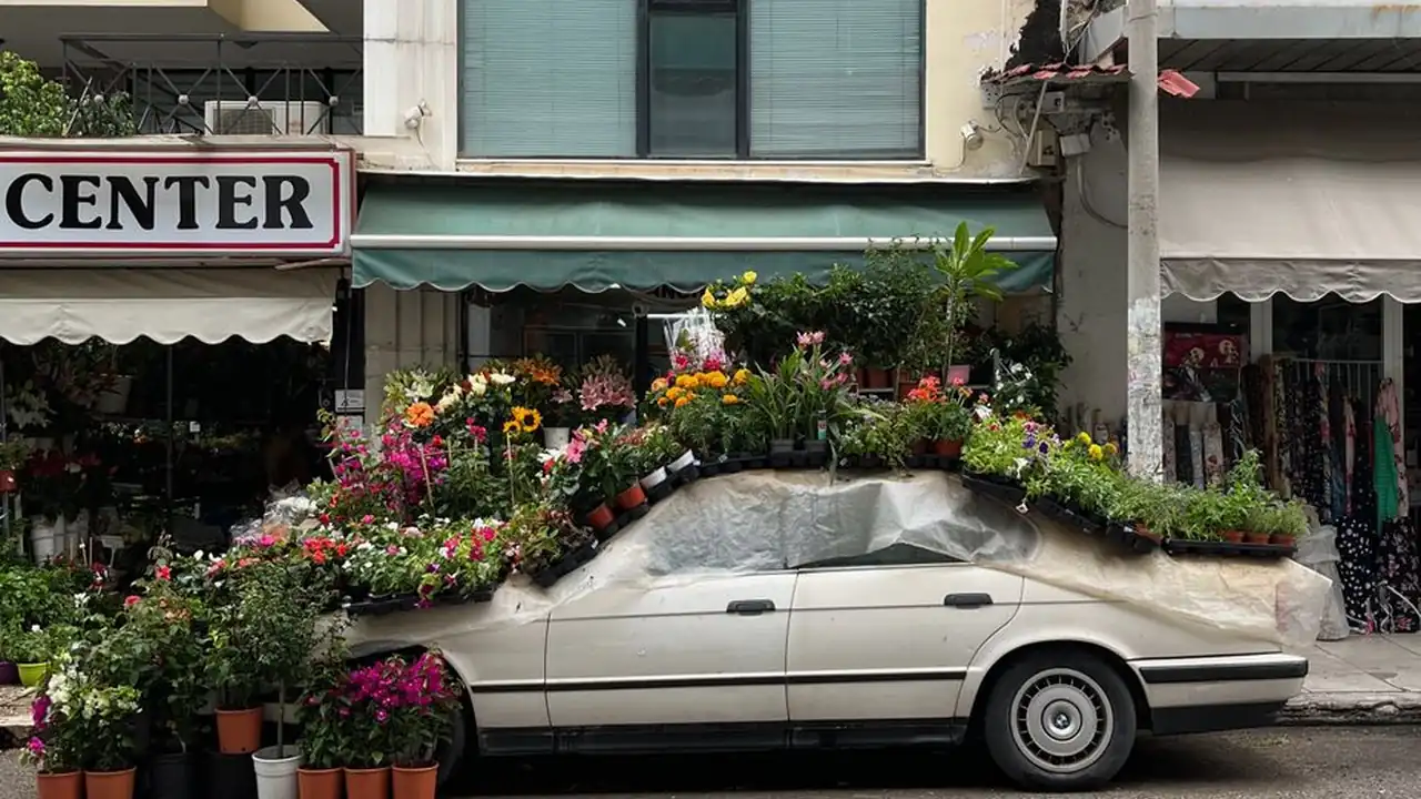 扒开申鹤疯狂揉难受是什么类型的内容，搜索时要注意什么