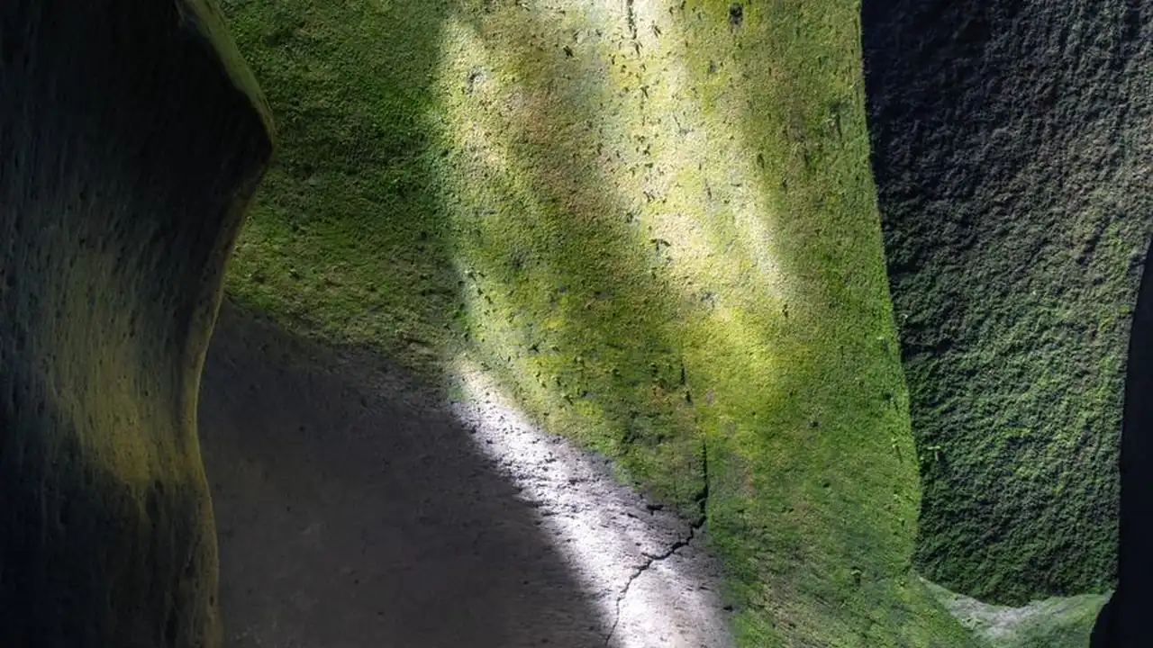 叼嘿视频免费网站免费在线观看的使用场景与功能说明