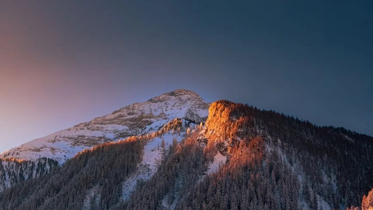百姓阁欧美内容平台怎么选使用需求与注意事项盘点