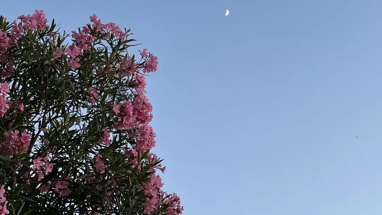 兰陵王百度影音还能看吗？如何解决资源无法播放的问题