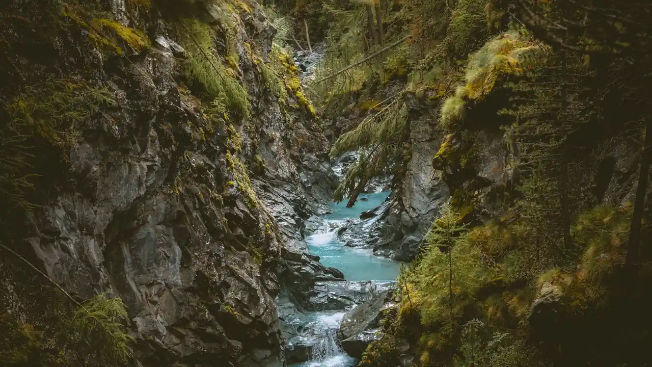 李振玮头像